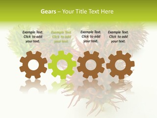 A Group Of Different Colored Plants On A White Surface PowerPoint Template