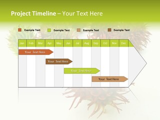 A Group Of Different Colored Plants On A White Surface PowerPoint Template