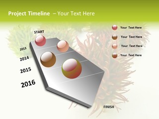 A Group Of Different Colored Plants On A White Surface PowerPoint Template