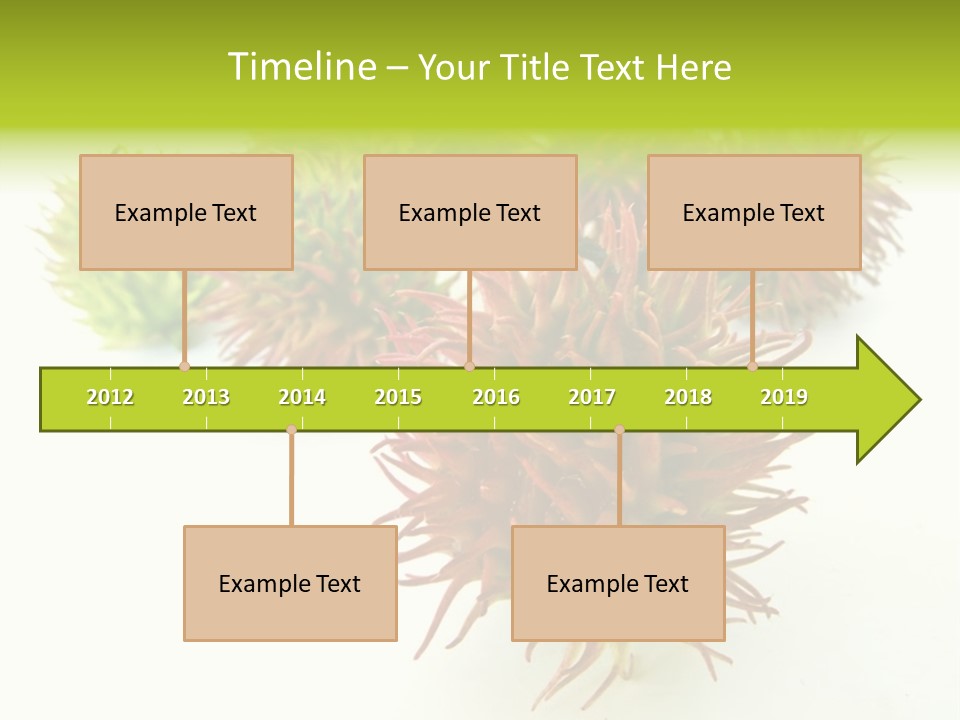 A Group Of Different Colored Plants On A White Surface PowerPoint Template