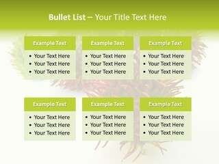 A Group Of Different Colored Plants On A White Surface PowerPoint Template