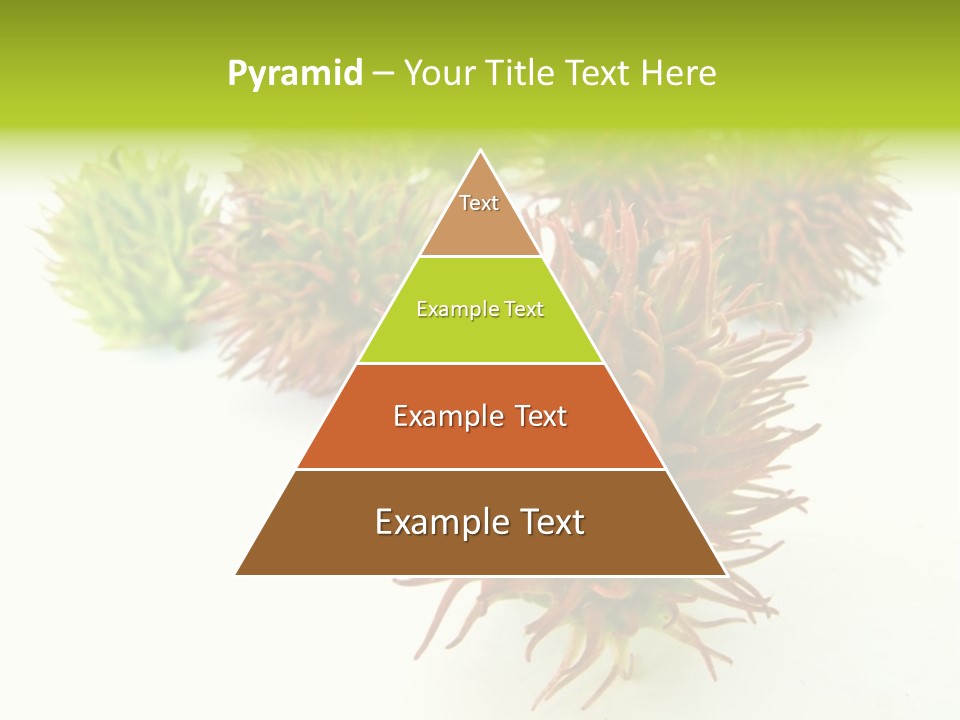 A Group Of Different Colored Plants On A White Surface PowerPoint Template