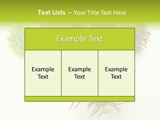 A Group Of Different Colored Plants On A White Surface PowerPoint Template