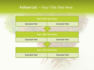 A Group Of Different Colored Plants On A White Surface PowerPoint Template