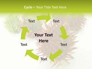A Group Of Different Colored Plants On A White Surface PowerPoint Template