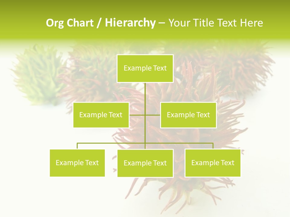 A Group Of Different Colored Plants On A White Surface PowerPoint Template