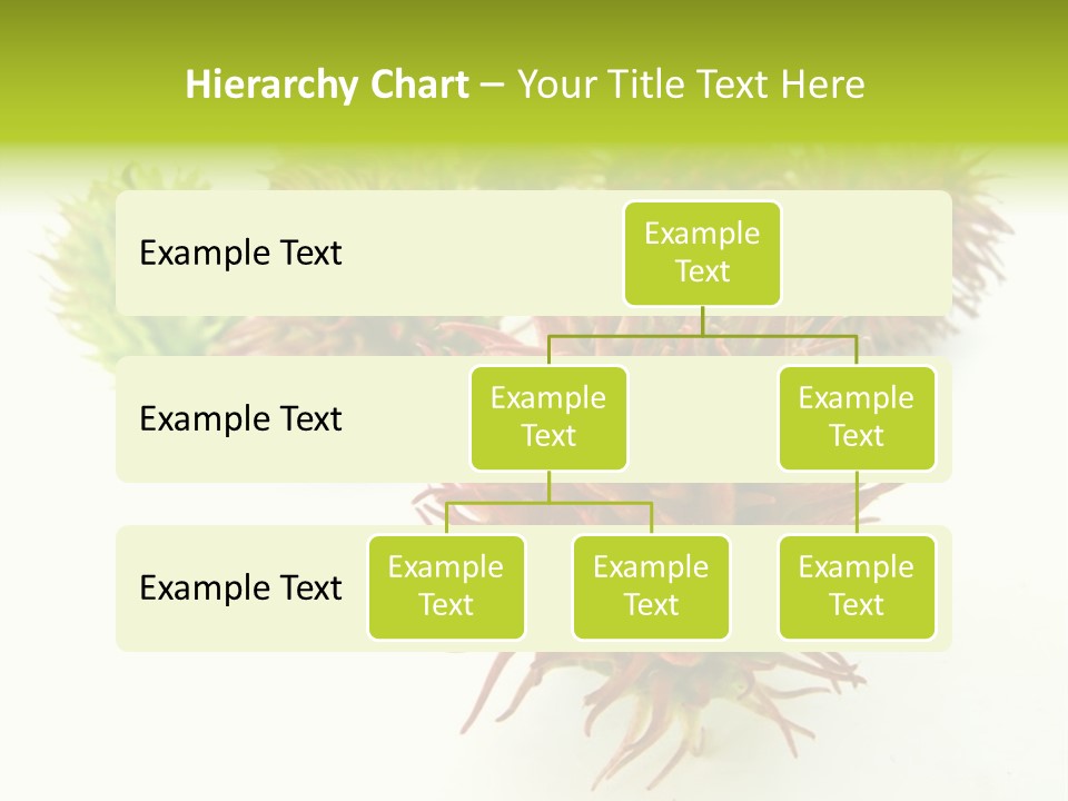 A Group Of Different Colored Plants On A White Surface PowerPoint Template