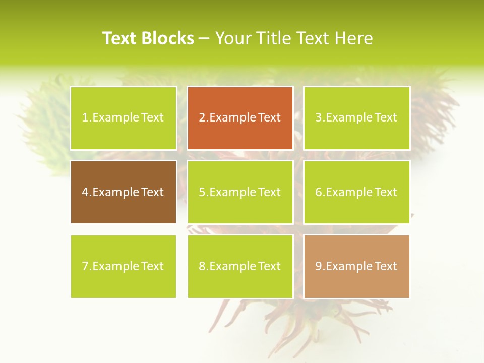 A Group Of Different Colored Plants On A White Surface PowerPoint Template