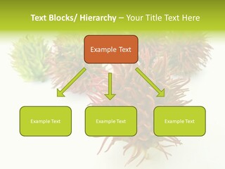 A Group Of Different Colored Plants On A White Surface PowerPoint Template