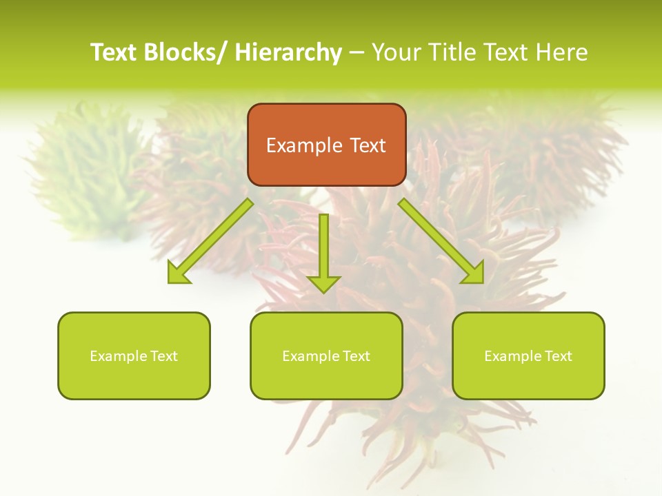 A Group Of Different Colored Plants On A White Surface PowerPoint Template