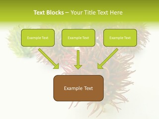 A Group Of Different Colored Plants On A White Surface PowerPoint Template