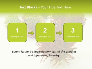 A Group Of Different Colored Plants On A White Surface PowerPoint Template