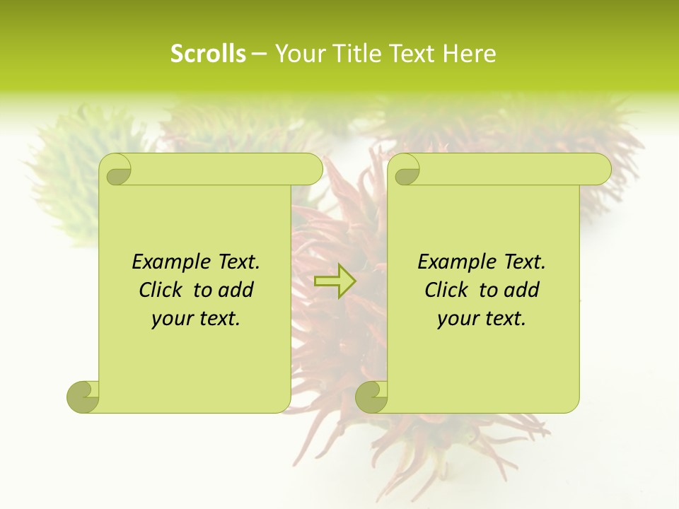 A Group Of Different Colored Plants On A White Surface PowerPoint Template