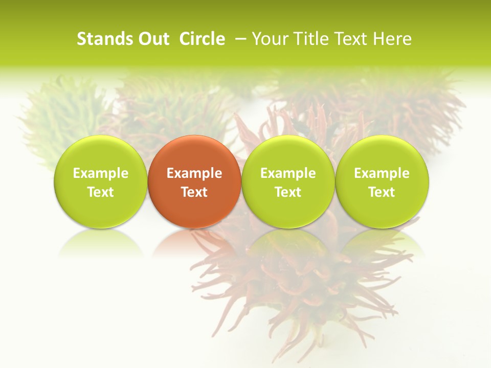 A Group Of Different Colored Plants On A White Surface PowerPoint Template