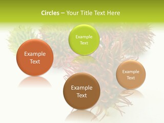 A Group Of Different Colored Plants On A White Surface PowerPoint Template