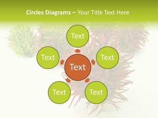 A Group Of Different Colored Plants On A White Surface PowerPoint Template