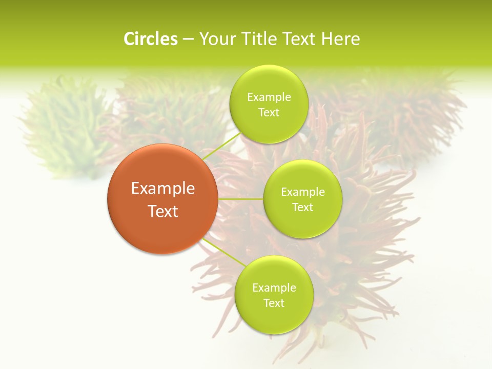 A Group Of Different Colored Plants On A White Surface PowerPoint Template