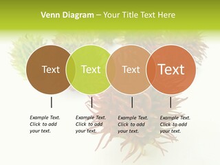 A Group Of Different Colored Plants On A White Surface PowerPoint Template