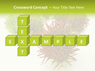 A Group Of Different Colored Plants On A White Surface PowerPoint Template