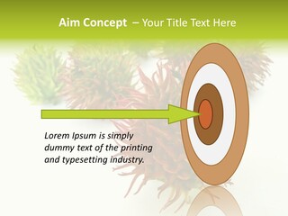 A Group Of Different Colored Plants On A White Surface PowerPoint Template