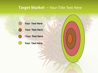 A Group Of Different Colored Plants On A White Surface PowerPoint Template