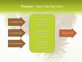 A Group Of Different Colored Plants On A White Surface PowerPoint Template