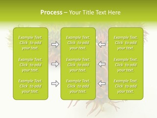 A Group Of Different Colored Plants On A White Surface PowerPoint Template