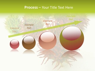 A Group Of Different Colored Plants On A White Surface PowerPoint Template