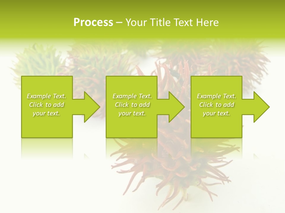 A Group Of Different Colored Plants On A White Surface PowerPoint Template
