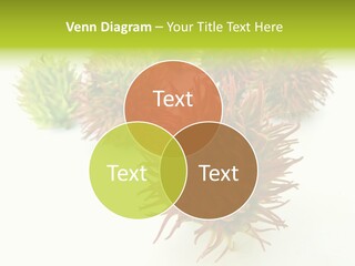 A Group Of Different Colored Plants On A White Surface PowerPoint Template