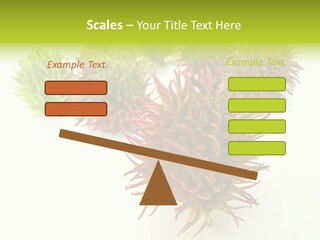 A Group Of Different Colored Plants On A White Surface PowerPoint Template