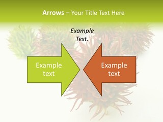 A Group Of Different Colored Plants On A White Surface PowerPoint Template