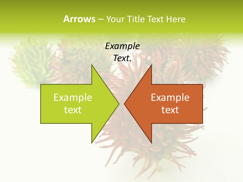 A Group Of Different Colored Plants On A White Surface PowerPoint Template