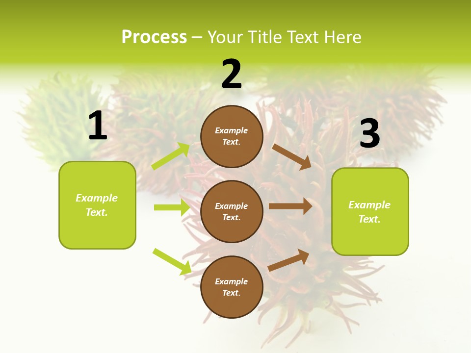 A Group Of Different Colored Plants On A White Surface PowerPoint Template