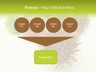 A Group Of Different Colored Plants On A White Surface PowerPoint Template
