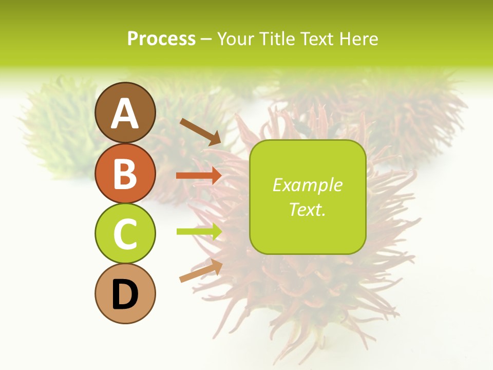 A Group Of Different Colored Plants On A White Surface PowerPoint Template