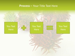 A Group Of Different Colored Plants On A White Surface PowerPoint Template