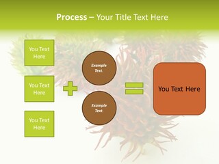 A Group Of Different Colored Plants On A White Surface PowerPoint Template