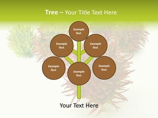 A Group Of Different Colored Plants On A White Surface PowerPoint Template