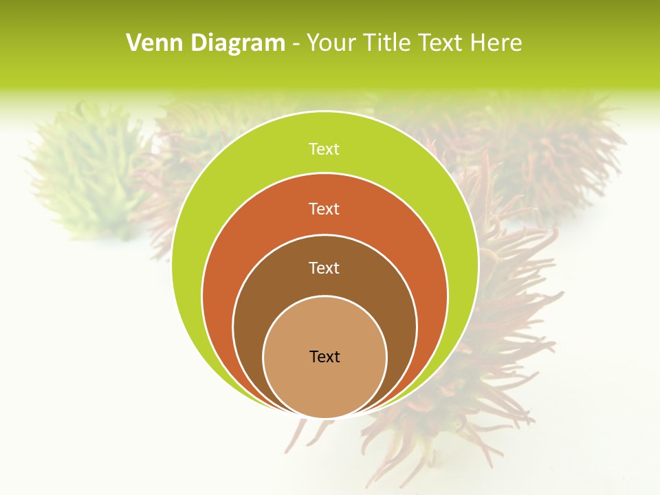A Group Of Different Colored Plants On A White Surface PowerPoint Template