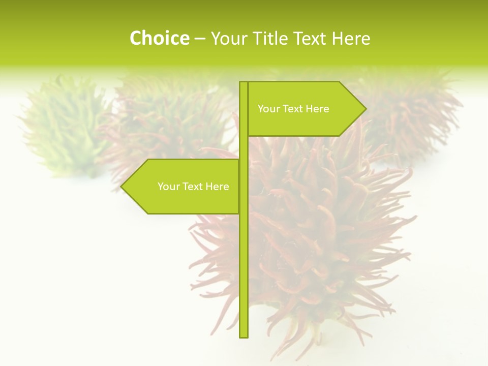 A Group Of Different Colored Plants On A White Surface PowerPoint Template