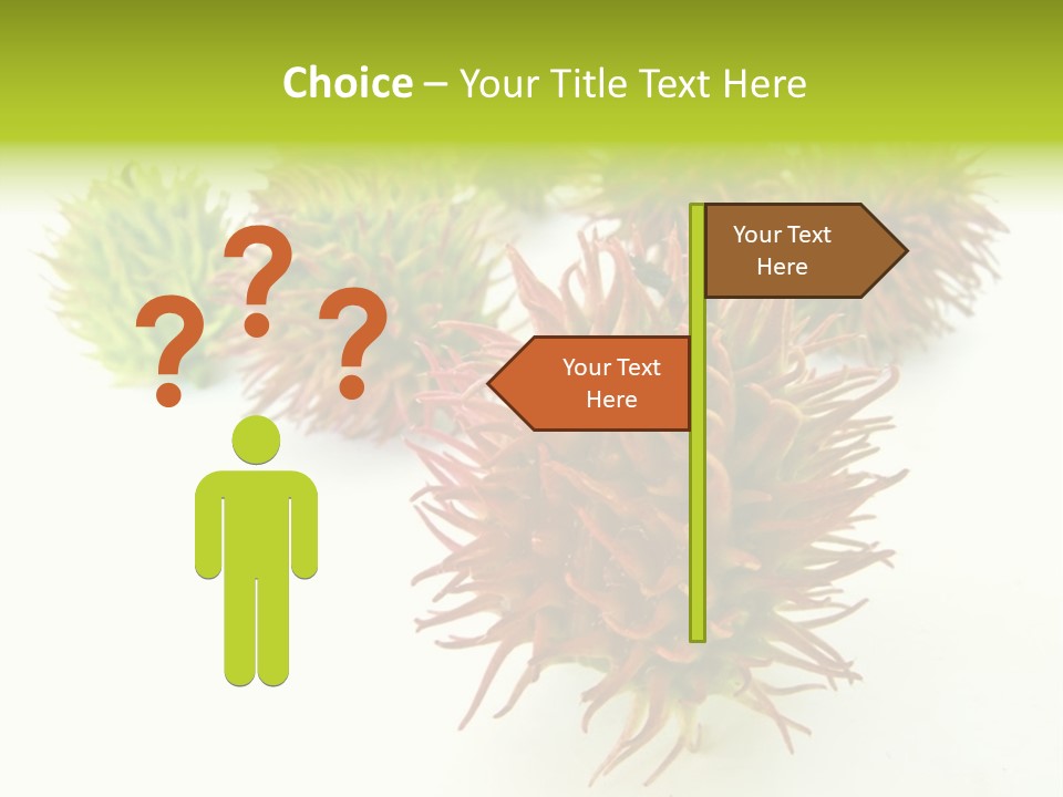 A Group Of Different Colored Plants On A White Surface PowerPoint Template