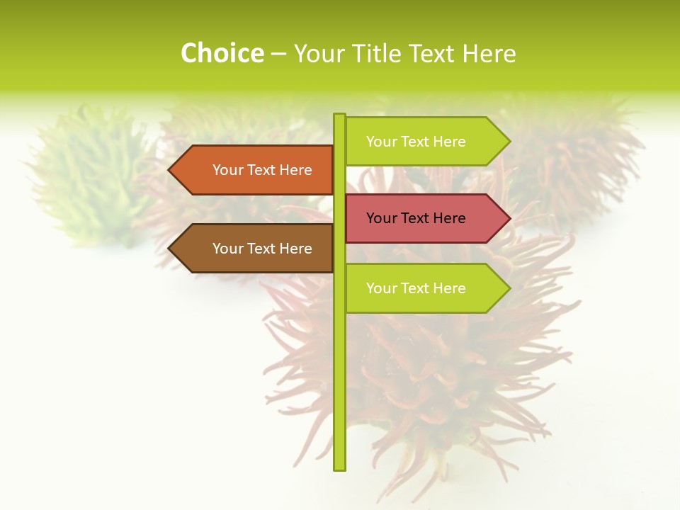 A Group Of Different Colored Plants On A White Surface PowerPoint Template