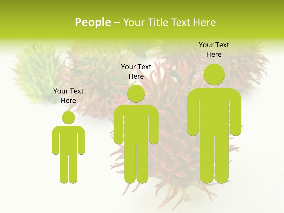 A Group Of Different Colored Plants On A White Surface PowerPoint Template