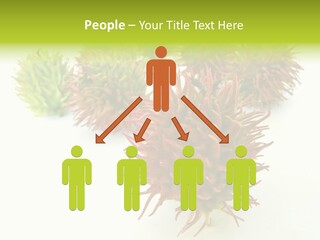 A Group Of Different Colored Plants On A White Surface PowerPoint Template