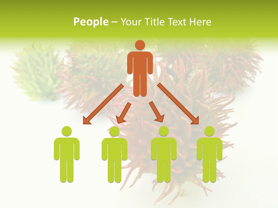 A Group Of Different Colored Plants On A White Surface PowerPoint Template