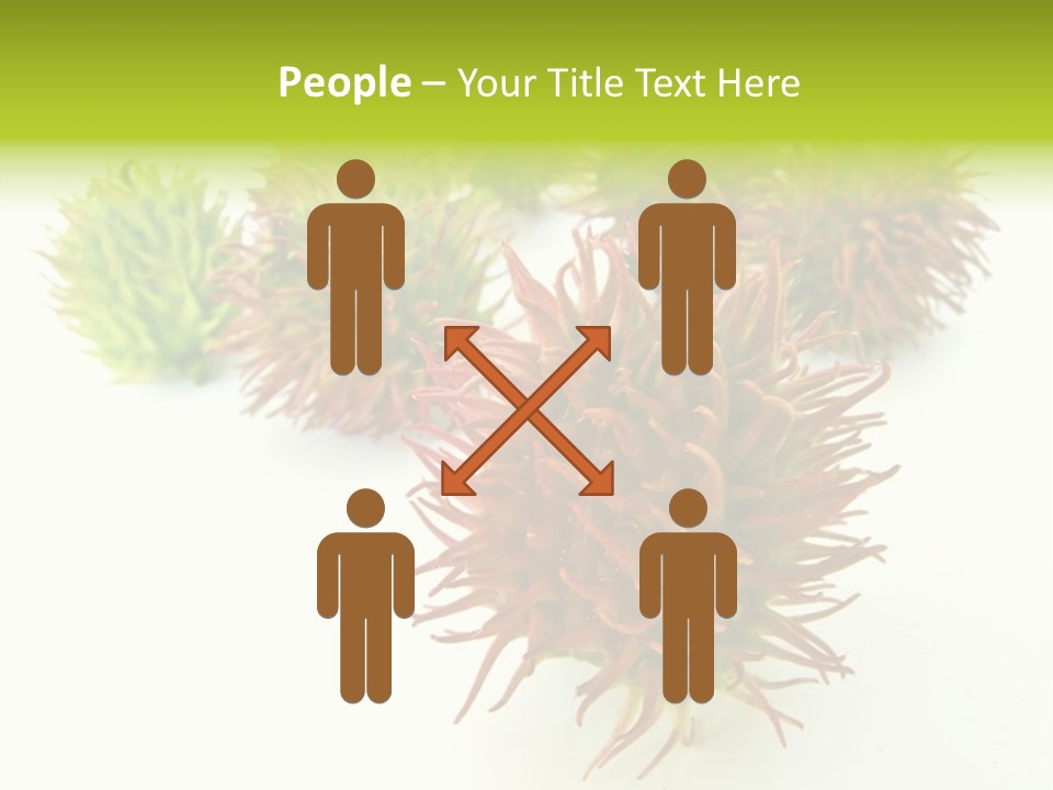 A Group Of Different Colored Plants On A White Surface PowerPoint Template