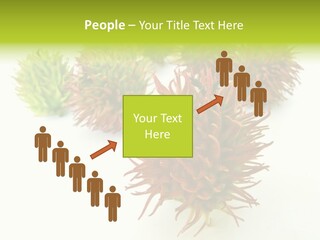 A Group Of Different Colored Plants On A White Surface PowerPoint Template