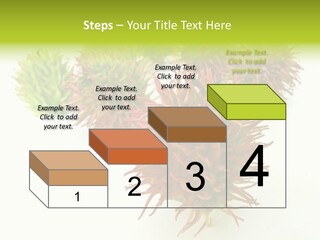 A Group Of Different Colored Plants On A White Surface PowerPoint Template