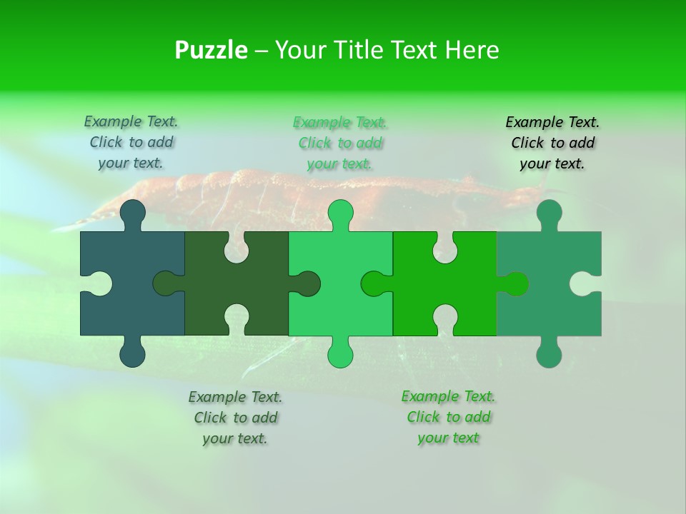 Red Shrimp PowerPoint Template